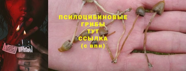 марки lsd Козловка