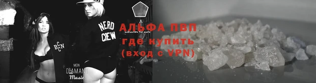 ECSTASY Козельск