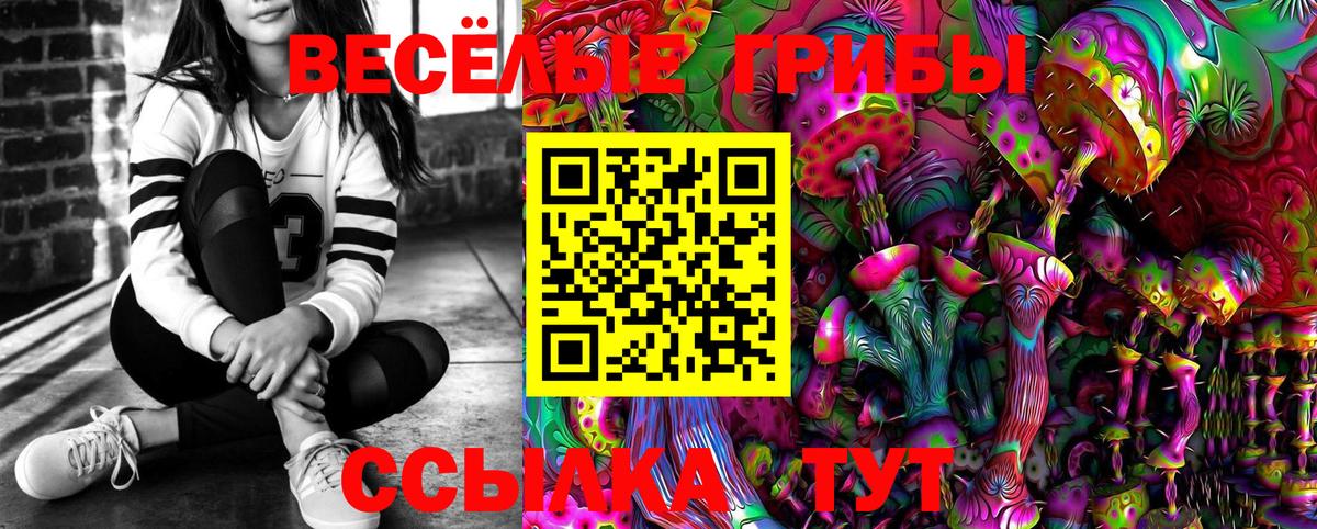Лесной  Галлюциногенные грибы Psilocybe  Псилоцибиновые грибы мухоморы  Вход с VPN 